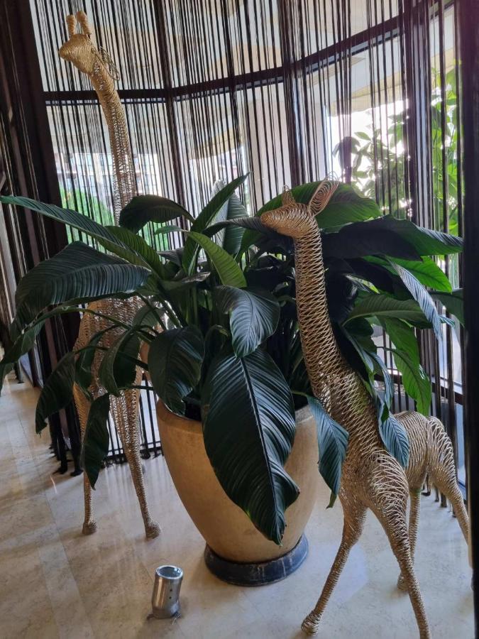 Royal Beach Apartment Barcello B Σάνι Μπιτς Εξωτερικό φωτογραφία